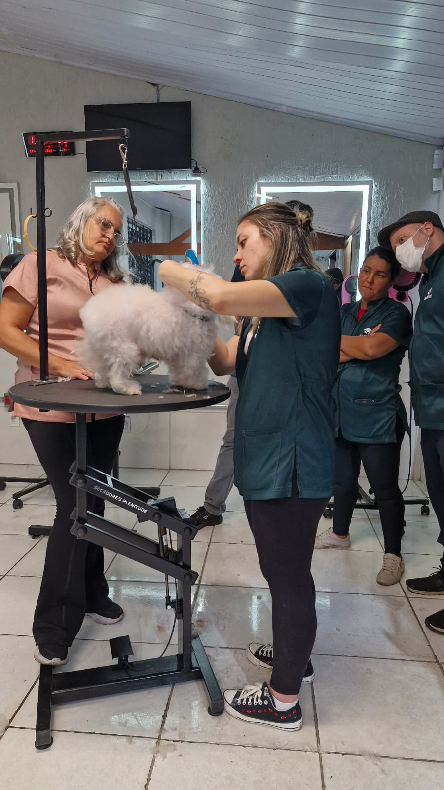 Luanna practicing professional dog grooming at school in Brazil